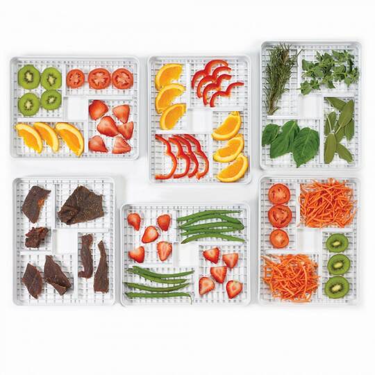 BirdsEyeFoodTrays_propped