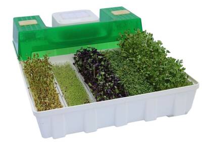 EasyGreen sproter three-quarter view