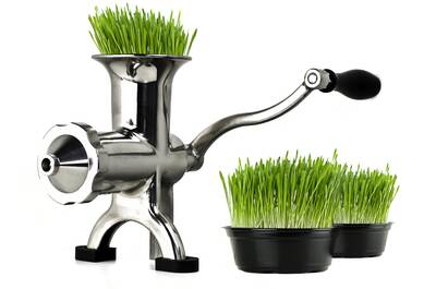 BL-30 wheatgrass juicer