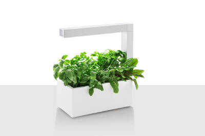 Tregren Herbie hydroponic indoor garden white