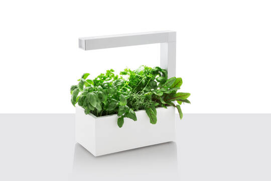 Tregren Herbie hydroponic indoor garden white