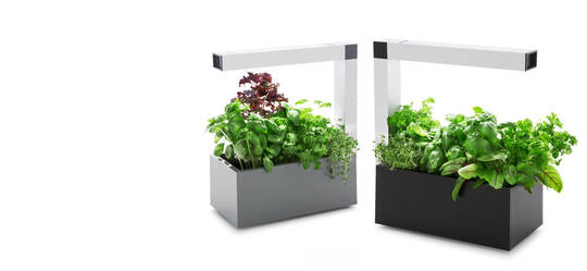 Tregren Herbie hydroponic indoor garden black and grey