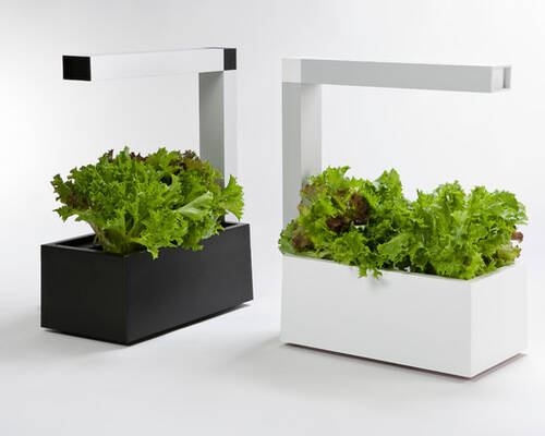 Tregren Herbie hydroponic indoor garden white and black