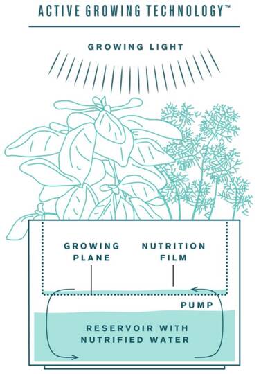 Tregren Herbie hydroponic indoor garden diagram