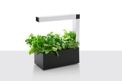 Tregren Herbie hydroponic indoor garden black