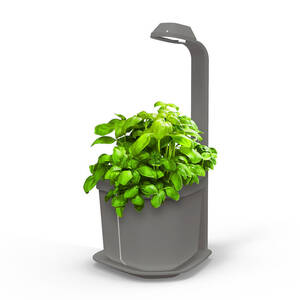 Tregren Genie hydroponic indoor garden grey