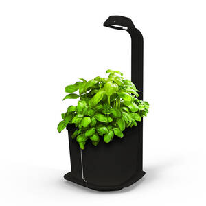 Tregren Genie hydroponic indoor garden black