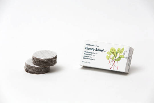 Tregren Herbie and Genie seed pods bloody sorrel