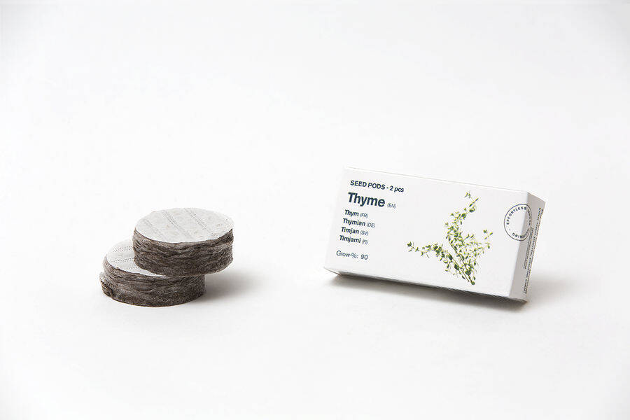 Tregren Herbie and Genie seed pods thyme