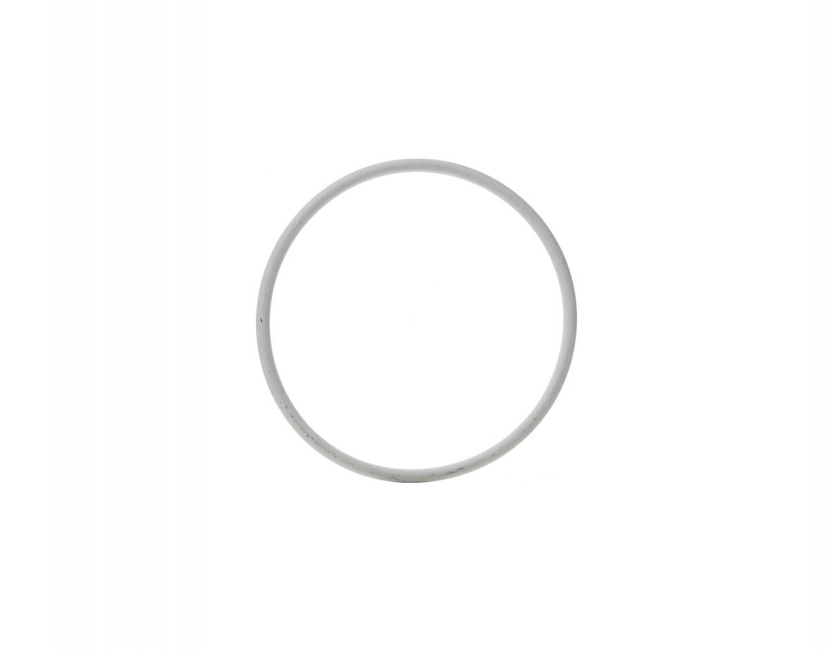 Main Body Seal for Champion Juciers