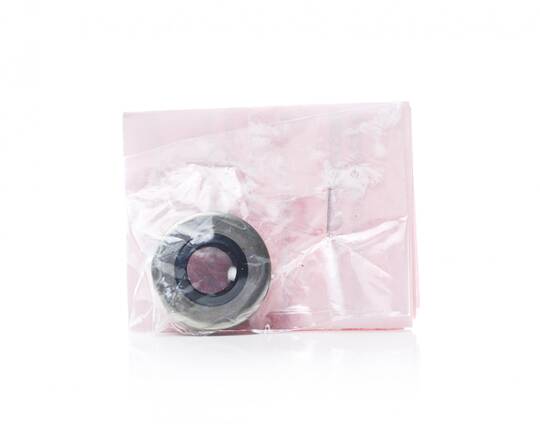 Oil Seal for Champion Juicers